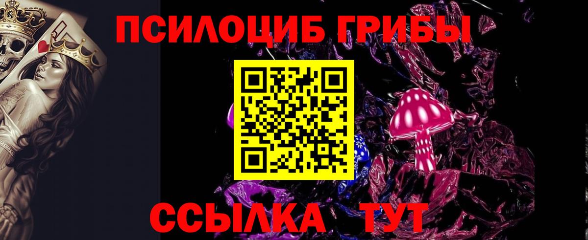 Галлюциногенные грибы прущие грибы Дальнереченск
